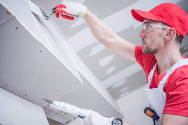 Best Drywall Removal and Disposal  in Adel, IA